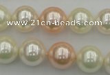 CSB370 15.5 inches 14mm round mixed color shell pearl beads