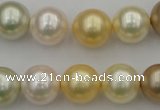 CSB372 15.5 inches 14mm round mixed color shell pearl beads