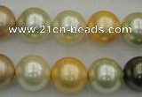 CSB374 15.5 inches 14mm round mixed color shell pearl beads