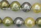 CSB380 15.5 inches 14mm round mixed color shell pearl beads