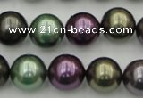 CSB386 15.5 inches 14mm round mixed color shell pearl beads