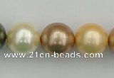 CSB394 15.5 inches 16mm round mixed color shell pearl beads