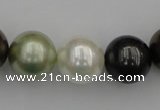 CSB396 15.5 inches 16mm round mixed color shell pearl beads