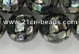 CSB4034 15.5 inches 14mm ball abalone shell beads wholesale