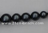 CSB405 15.5 inches 8mm - 16mm round shell pearl beads