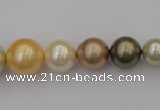 CSB407 15.5 inches 8mm - 16mm round mixed color shell pearl beads