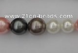 CSB408 15.5 inches 8mm - 16mm round mixed color shell pearl beads