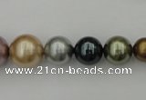 CSB409 15.5 inches 8mm - 16mm round mixed color shell pearl beads