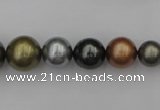 CSB410 15.5 inches 8mm - 16mm round mixed color shell pearl beads