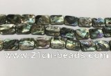 CSB4155 15.5 inches 13*18mm rectangle abalone shell beads wholesale