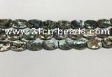 CSB4161 15.5 inches 12*16mm flat drum abalone shell beads wholesale