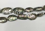 CSB4179 15.5 inches 13*30mm - 15*35mm freeform abalone shell beads