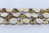 CSB4500 15.5 inches 18*20mm freeform shell beads wholesale