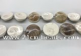 CSB4502 15.5 inches 28mm - 35mm freeform shell beads wholesale