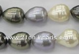 CSB552 15.5 inches 12*15mm whorl teardrop mixed color shell pearl beads