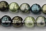 CSB623 15.5 inches 14mm whorl round mixed color shell pearl beads