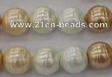 CSB624 15.5 inches 14mm whorl round mixed color shell pearl beads