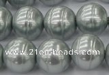 CSB646 15.5 inches 18mm whorl round shell pearl beads