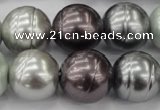 CSB651 15.5 inches 18mm whorl round mixed color shell pearl beads