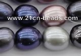 CSB680 15.5 inches 16*19mm oval mixed color shell pearl beads