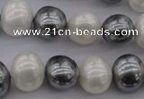 CSB697 15.5 inches 13*15mm oval mixed color shell pearl beads