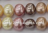 CSB699 15.5 inches 13*15mm oval mixed color shell pearl beads