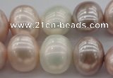 CSB713 15.5 inches 16*19mm oval mixed color shell pearl beads