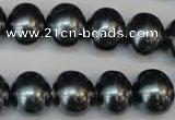 CSB817 15.5 inches 13*15mm oval shell pearl beads wholesale