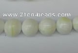 CSB954 15.5 inches 12mm round shell pearl beads wholesale