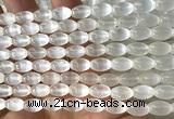 CSE634 15 inches 6*9mm rice selenite beads wholesale