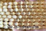 CSE734 15 inches 6*9mm rice selenite beads wholesale