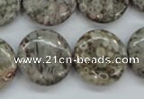 CSF01 15.5 inches 20mm flat round shell fossil jasper beads