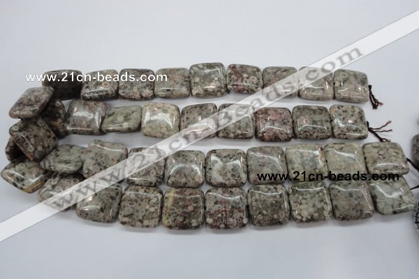 CSF06 15.5 inches 20*20mm square shell fossil jasper beads