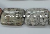 CSF09 15.5 inches 18*25mm rectangle shell fossil jasper beads