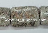 CSF10 15.5 inches 22*30mm rectangle shell fossil jasper beads