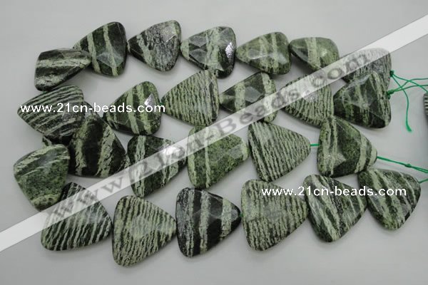 CSJ130 15.5 inches 30*30mm faceted triangle green silver line jasper beads