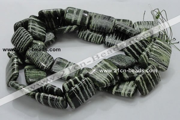 CSJ39 15.5 inches 22*30mm rectangle green silver line jasper beads