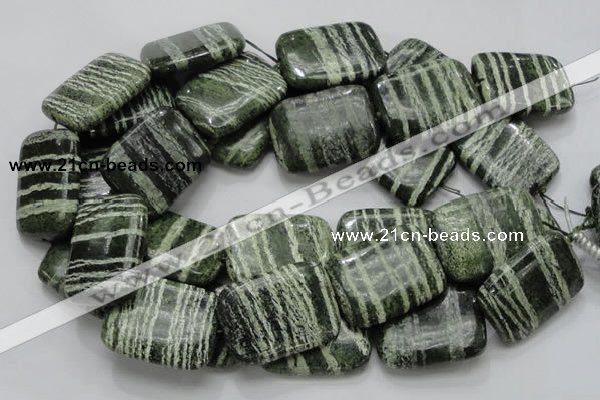 CSJ40 15.5 inches 30*40mm rectangle green silver line jasper beads