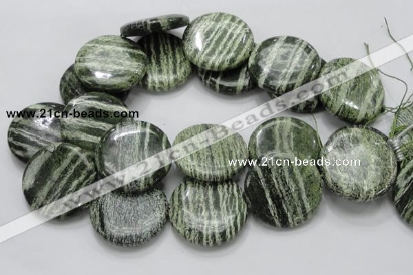 CSJ48 15.5 inches 40mm flat round green silver line jasper beads