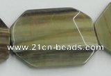 CSL08 15.5 inches 30*40mm octagonal silver leaf jasper beads wholesale
