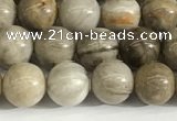 CSL151 15.5 inches 6mm round 

sliver leaf jasper beads wholesale