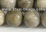 CSL154 15.5 inches 12mm round 

sliver leaf jasper beads wholesale