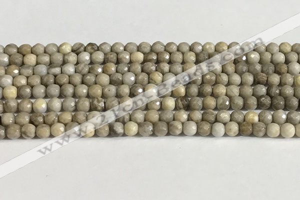 CSL156 15.5 inches 4mm faceted 

round sliver leaf jasper beads