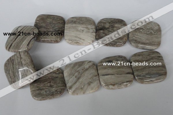 CSL59 15.5 inches 40*40mm square silver leaf jasper beads wholesale