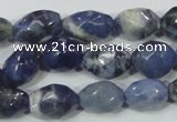 CSO101 15.5 inches 10*14mm faceted nugget sodalite gemstone beads