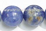 CSO16 15.5 inches 10mm round AB grade sodalite gemstone beads