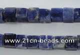 CSO351 15.5 inches 8*8mm cube natural sodalite gemstone beads