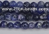 CSO558 15.5 inches 4mm faceted round sodalite gemstone beads