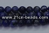 CSO610 15.5 inches 4mm round sodalite gemstone beads wholesale