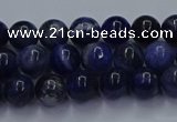 CSO611 15.5 inches 6mm round sodalite gemstone beads wholesale